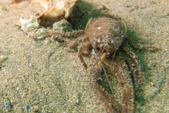DSC07634