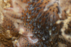 DSC07665