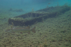 1_2021.02.07-8