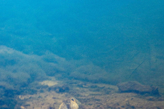 1_DSC02725