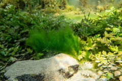 1_DSC04188