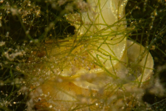 DSC03435