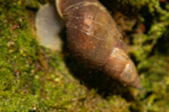 DSC08253