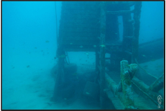 DSC02450