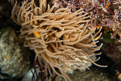 DSC07970