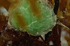 DSC07976