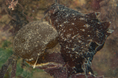 DSC08082