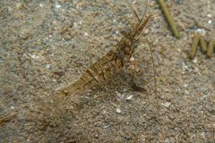 DSC08095