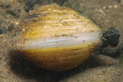 DSC04668