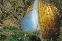 DSC04695