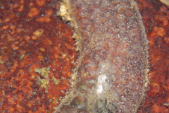 DSC04728